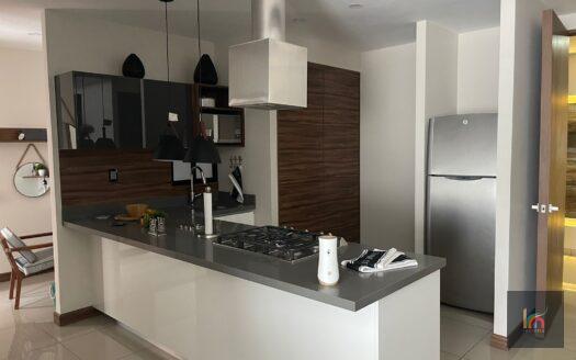 Departamento en renta en Zona Plateada