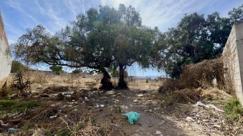Terreno en Venta en el Durazno
